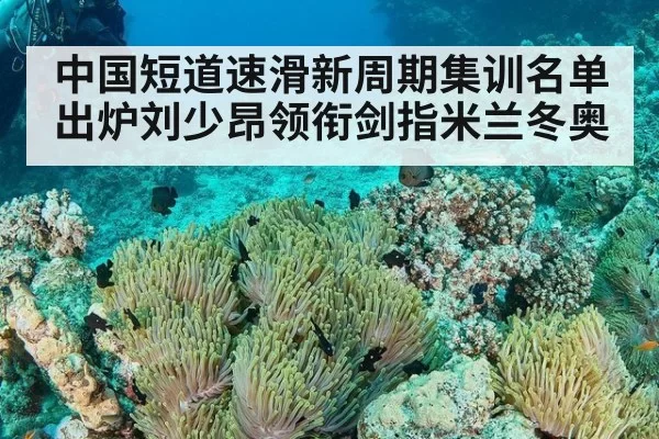 中国短道速滑新周期集训名单出炉刘少昂领衔剑指米兰冬奥