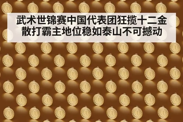 武术世锦赛中国代表团狂揽十二金 散打霸主地位稳如泰山不可撼动
